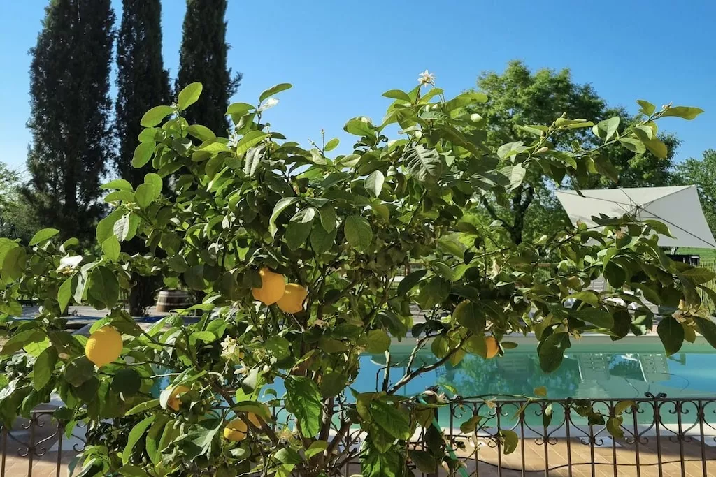 539356-Nicht zugeordnet