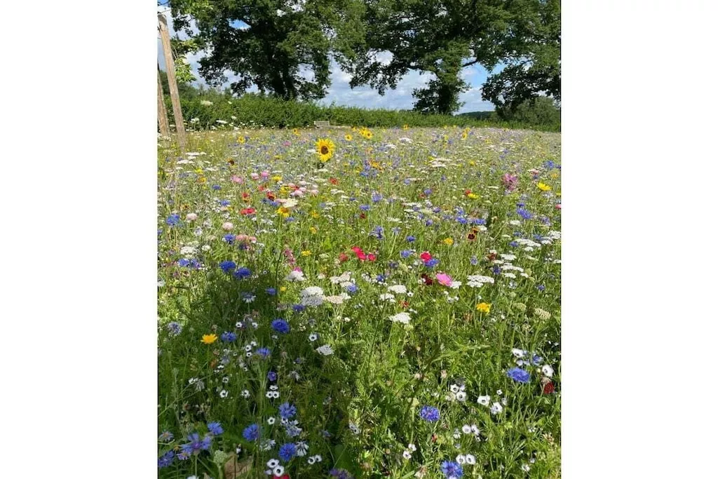 436051-Nicht zugeordnet