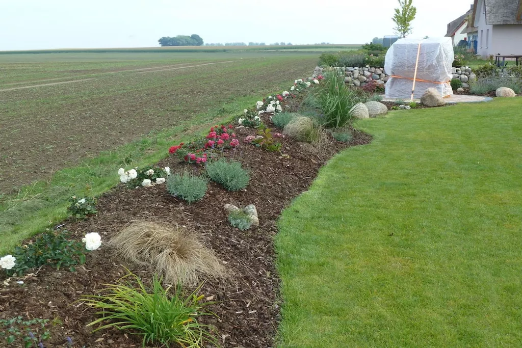 210131-Nicht zugeordnet