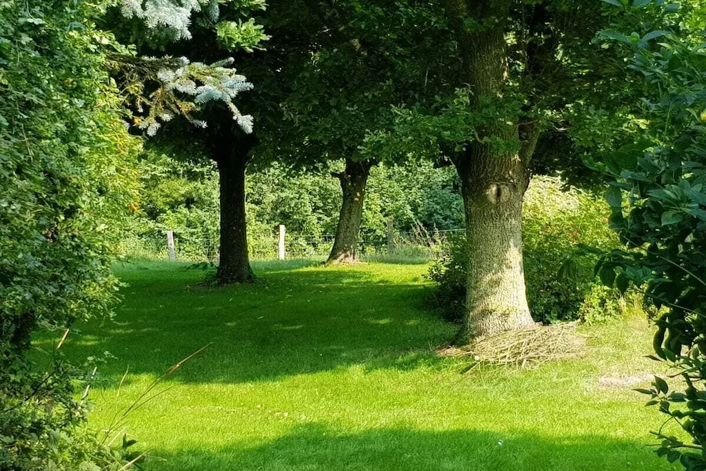 254976-Nicht zugeordnet