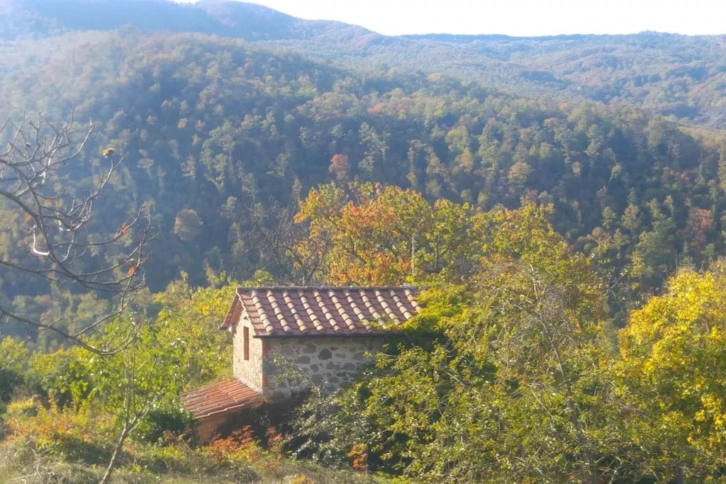 29689-Nicht zugeordnet