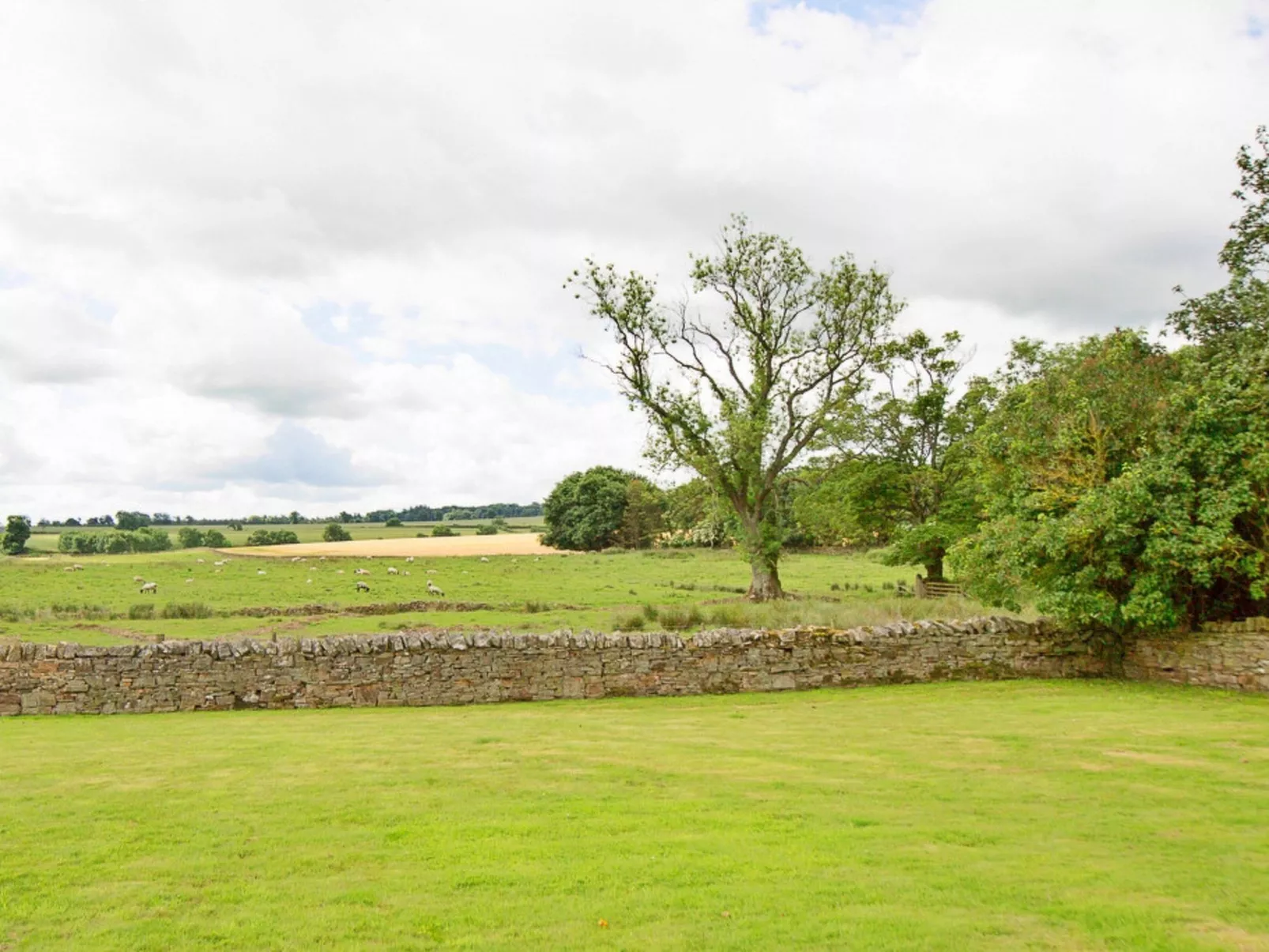 The Cottage, Shortflatt Farm-Dehors