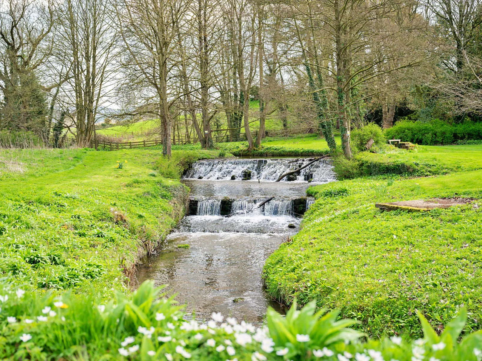 Kilburn Hall Apt-Outside