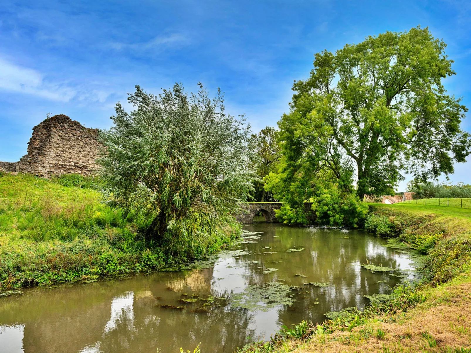 Clematis Cottage-Draußen