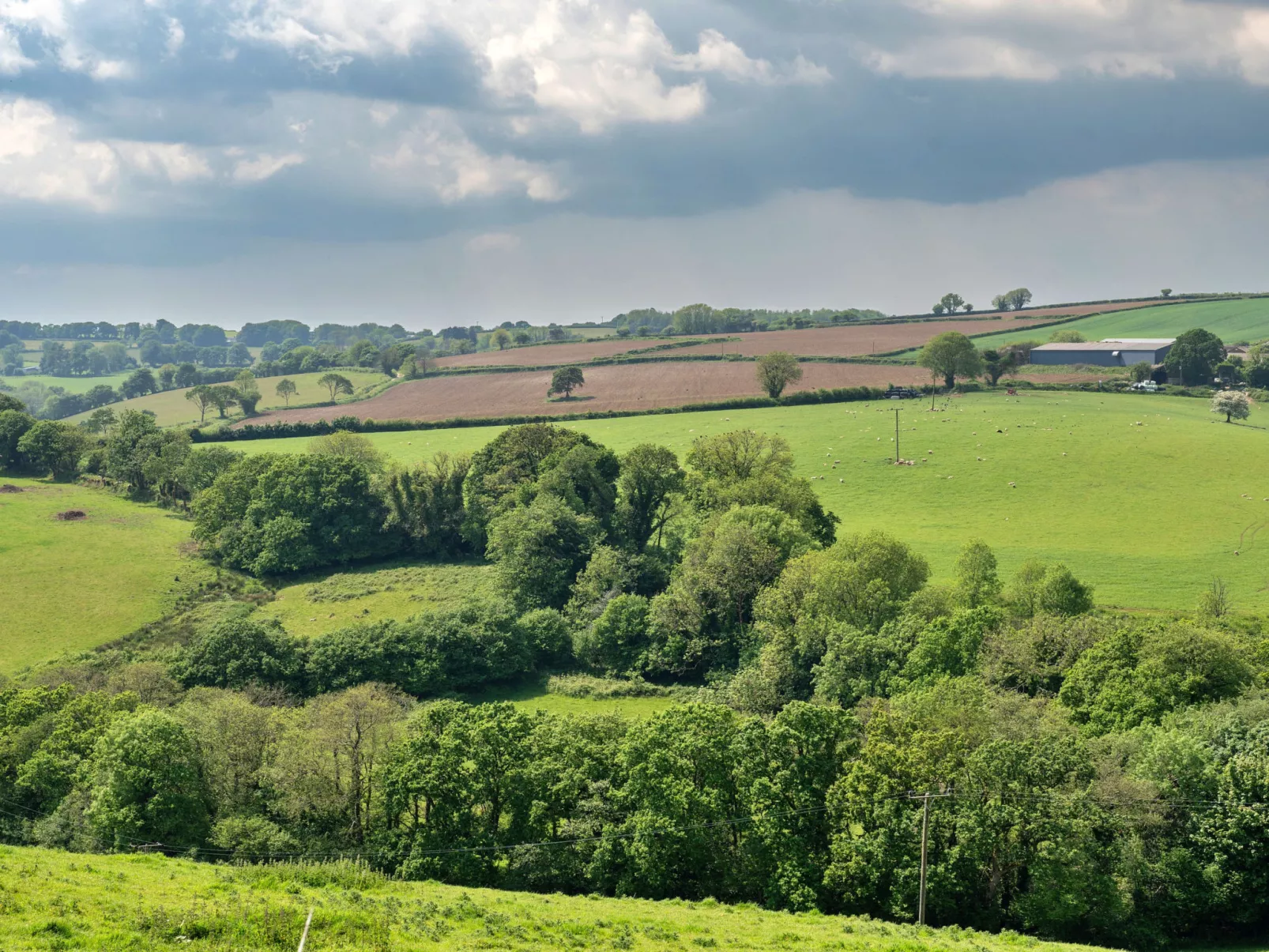 The Shippon at Lestitha-Dehors