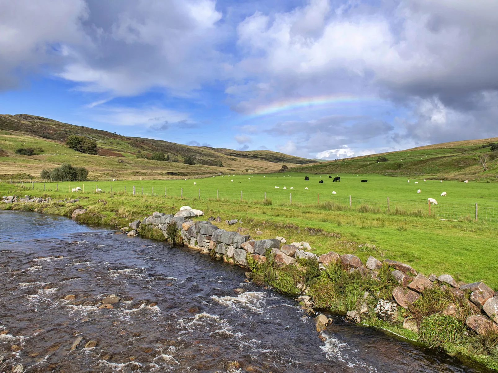 Mountain View-Dehors