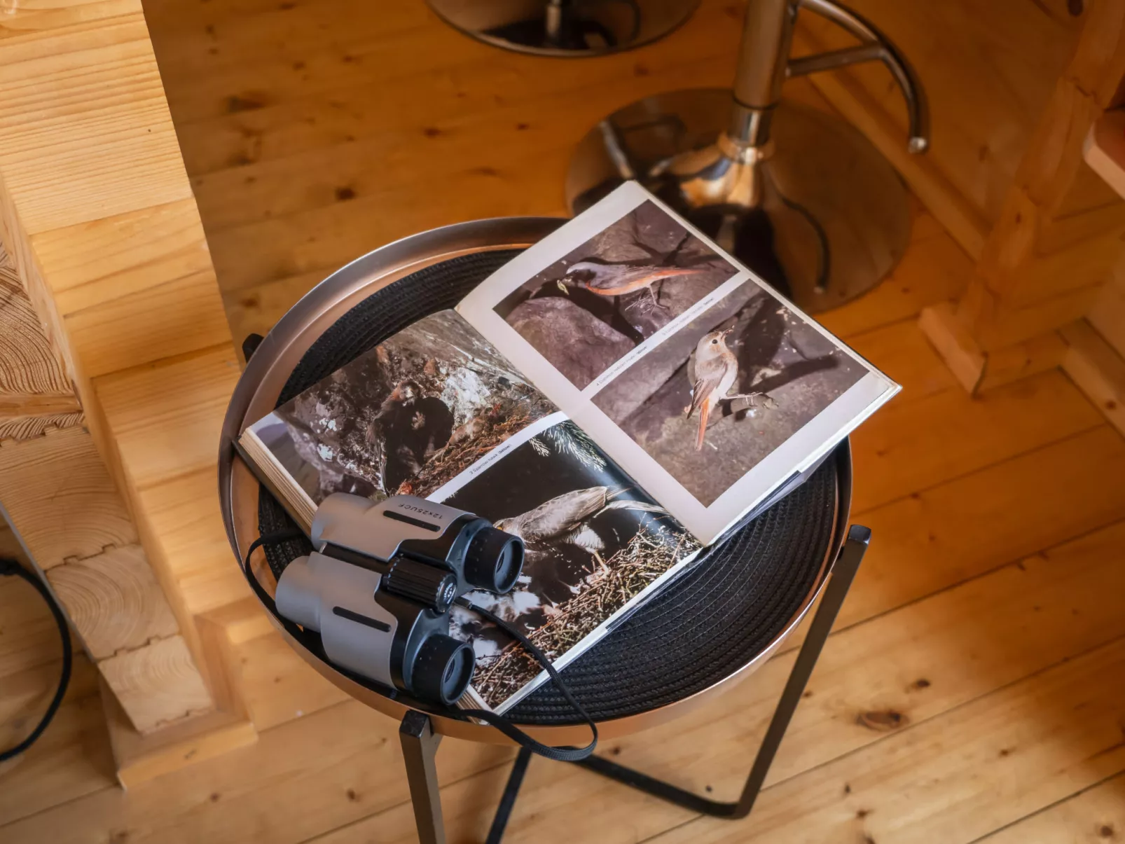 Pottles Retreat-Dehors