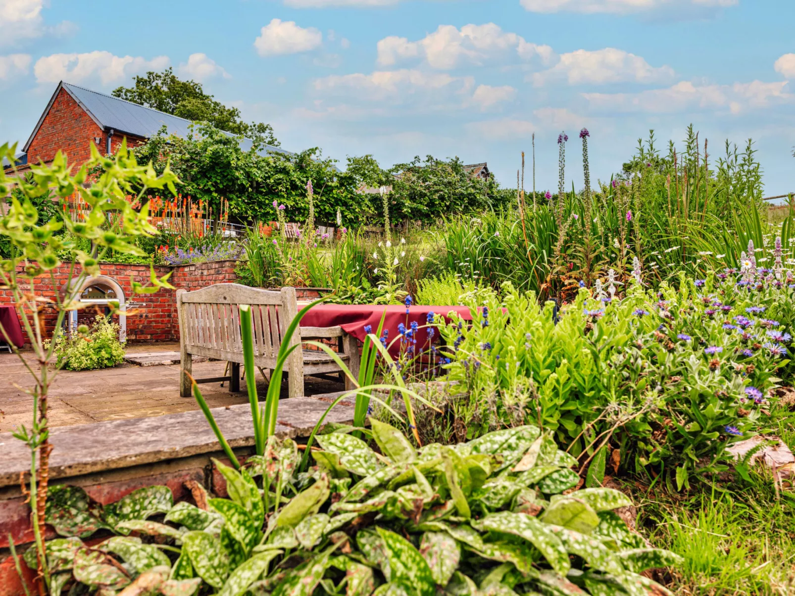 Beili Glas Cottage-Dehors