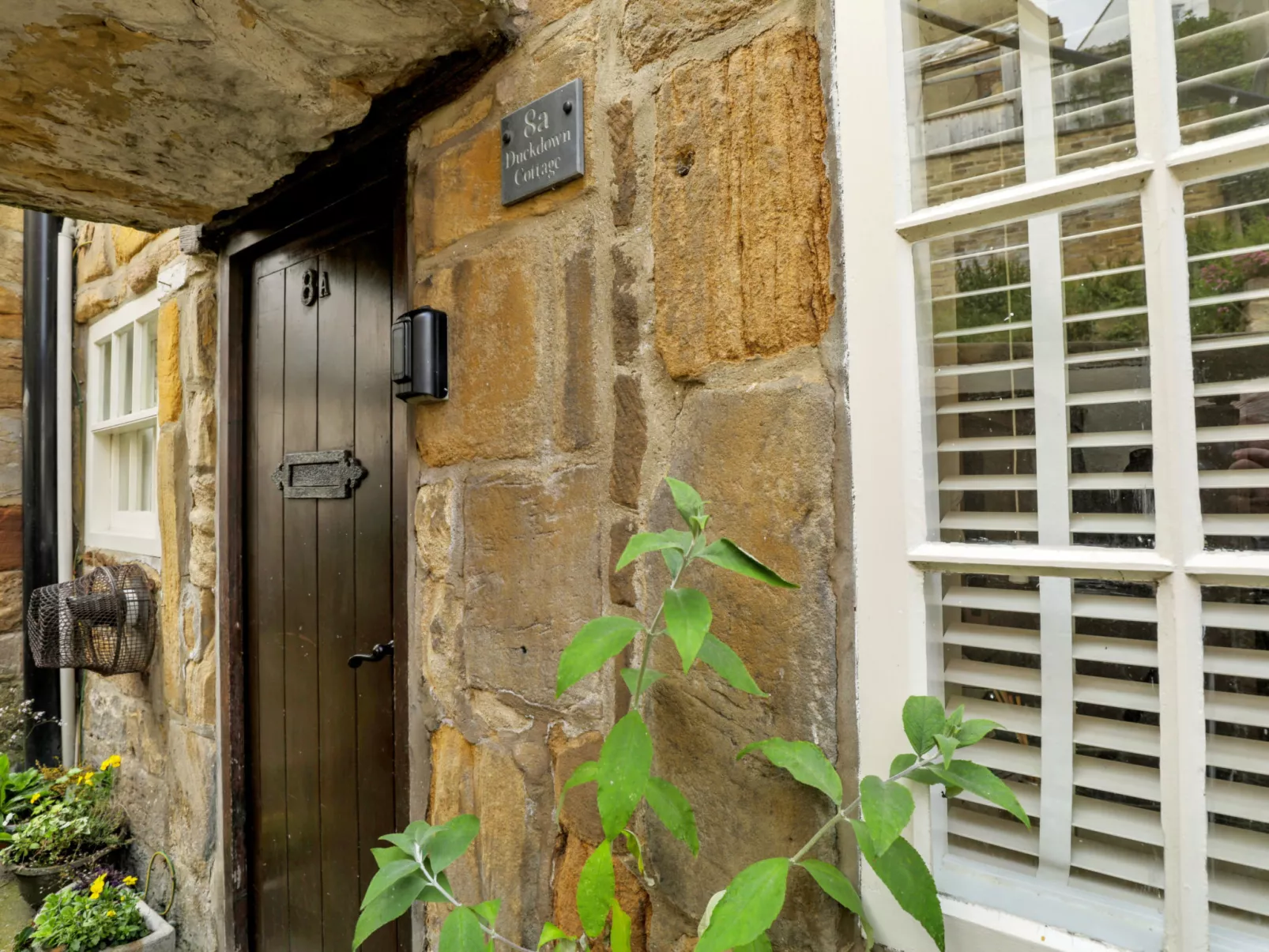 Duck Down Cottage-Draußen