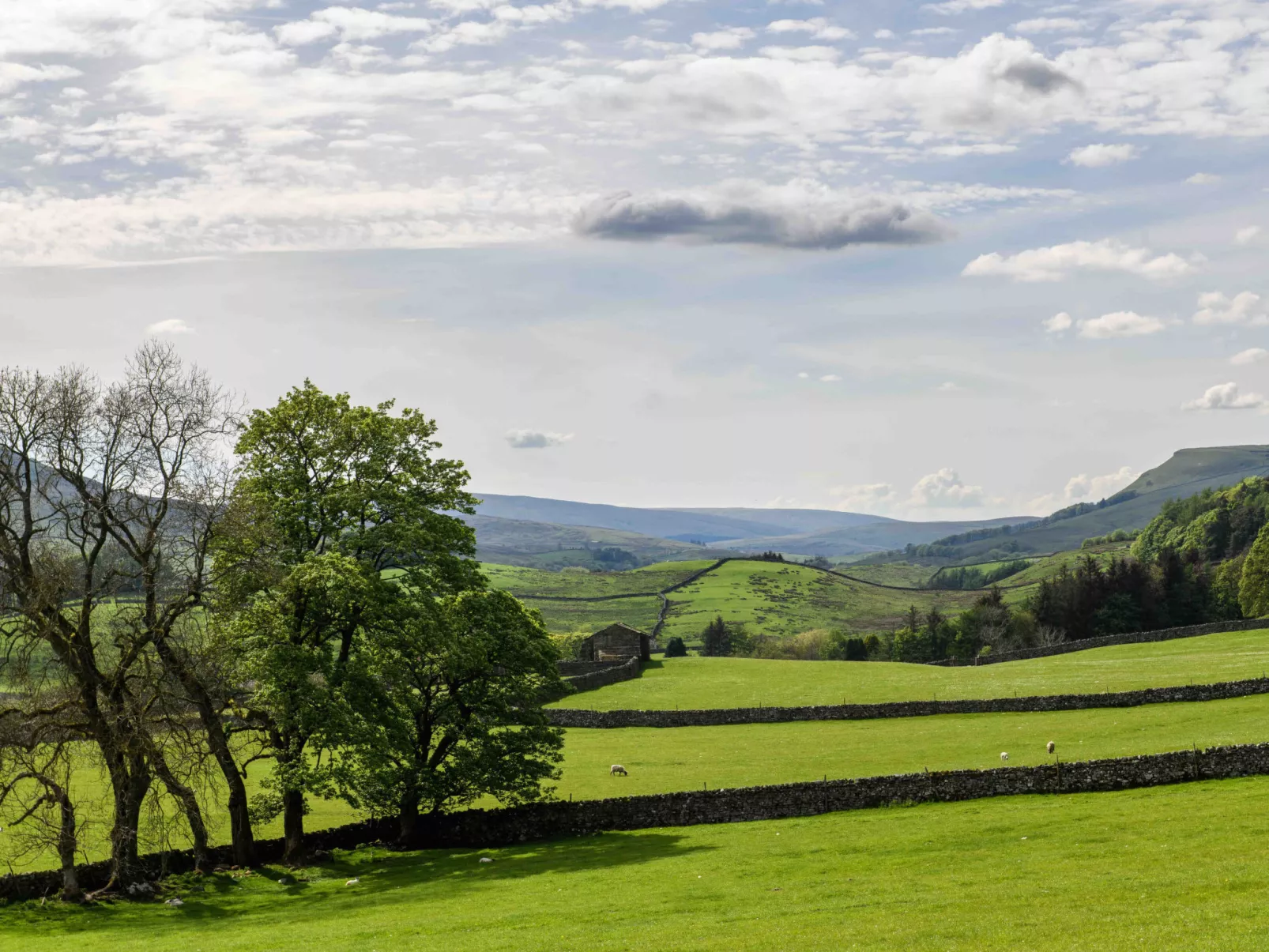 Shepherds Cottage at Mile House Farm-Outside