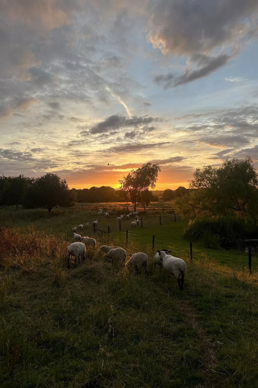 The Rookery Stables-Dehors