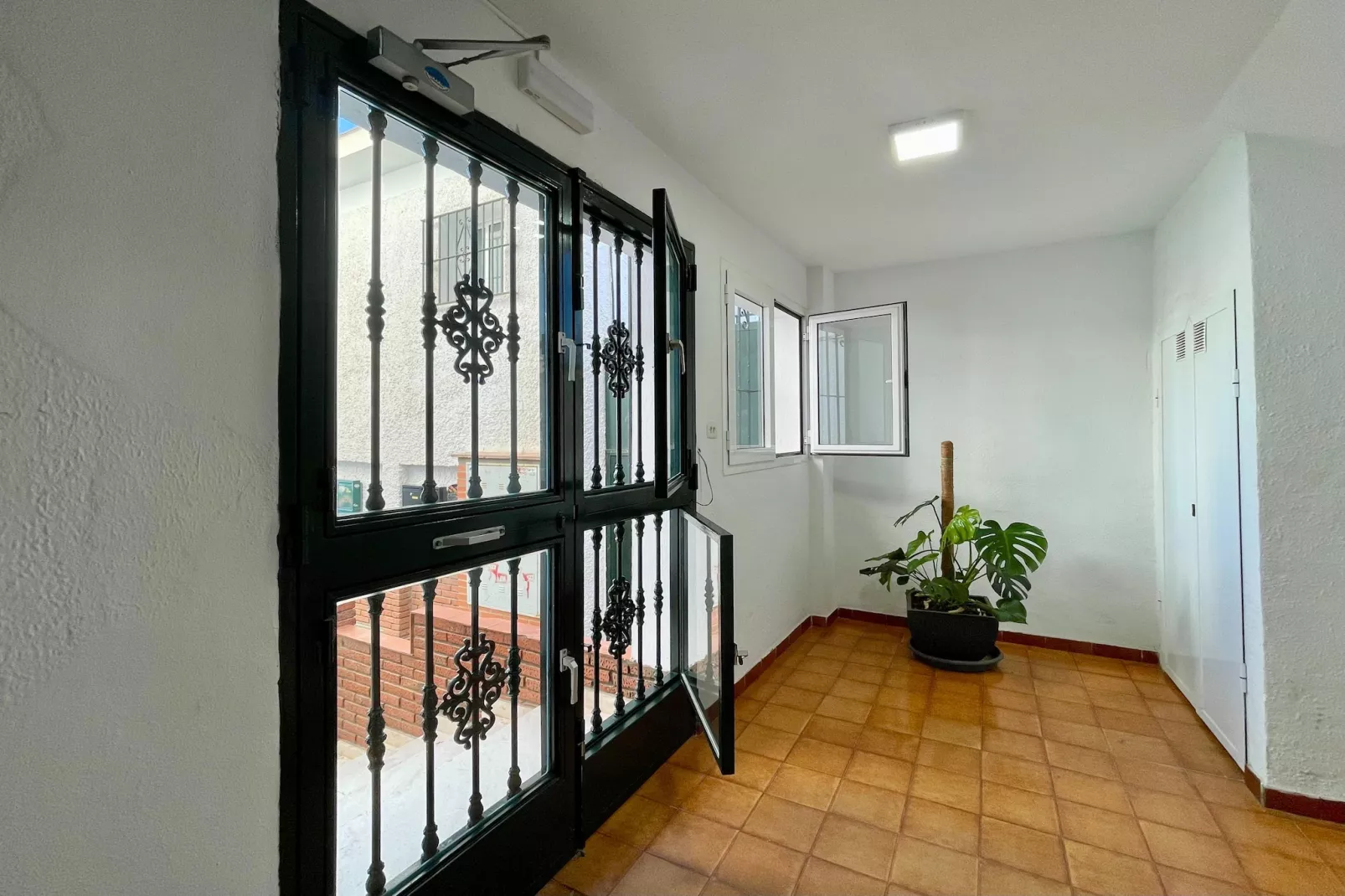 Carlota Alessandri Playa Torremolinos