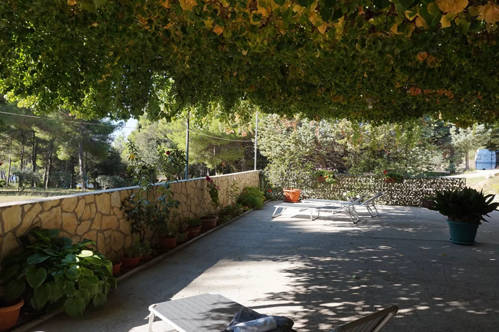 Beach House Žuljana - Two Bedroom Apartment with Terrace 1-Extérieur