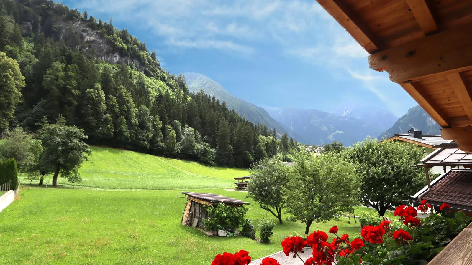 Rosalie-Lorena-View summer