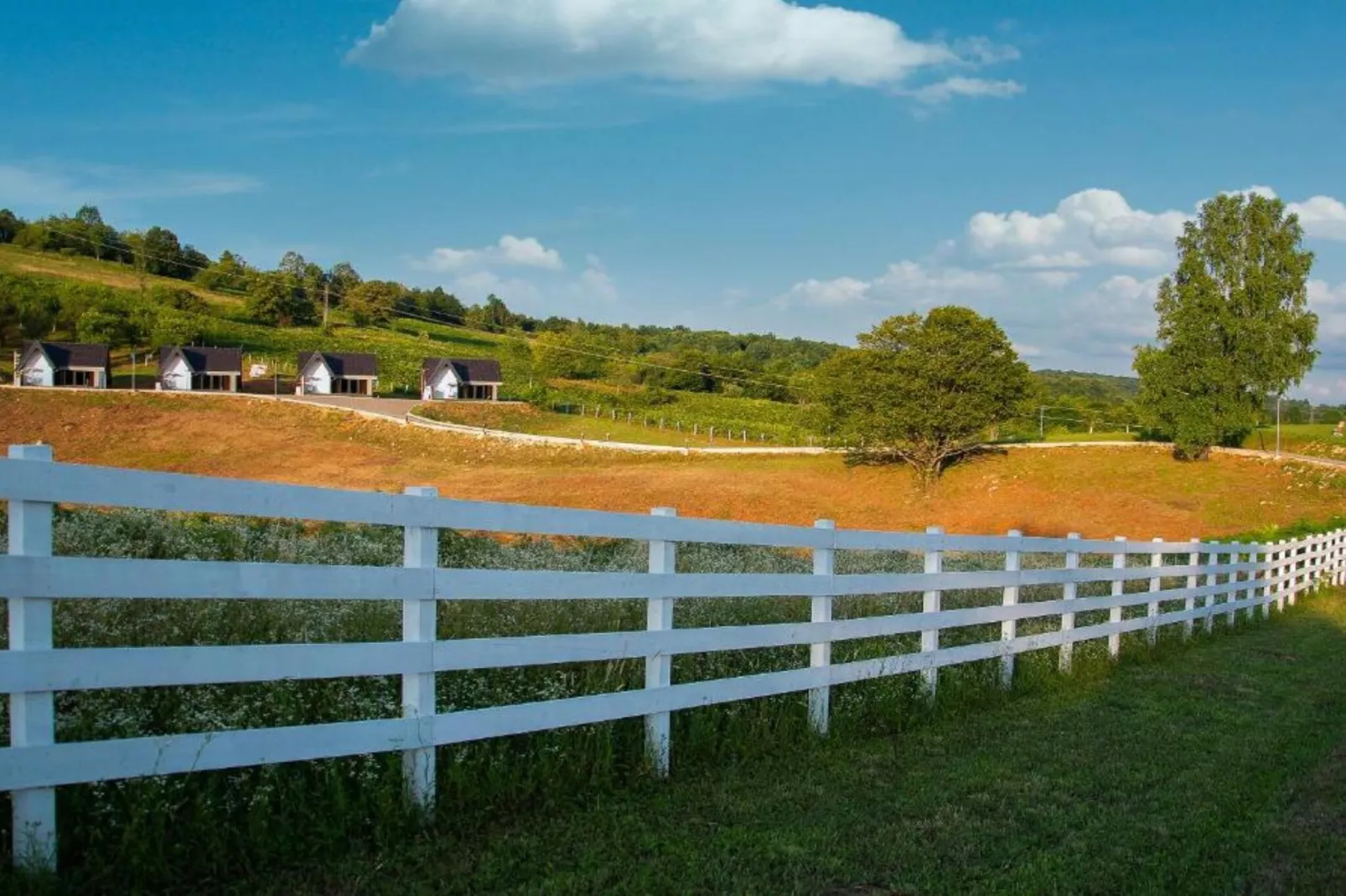 Mountain View Resort (Rita)-Outdoor