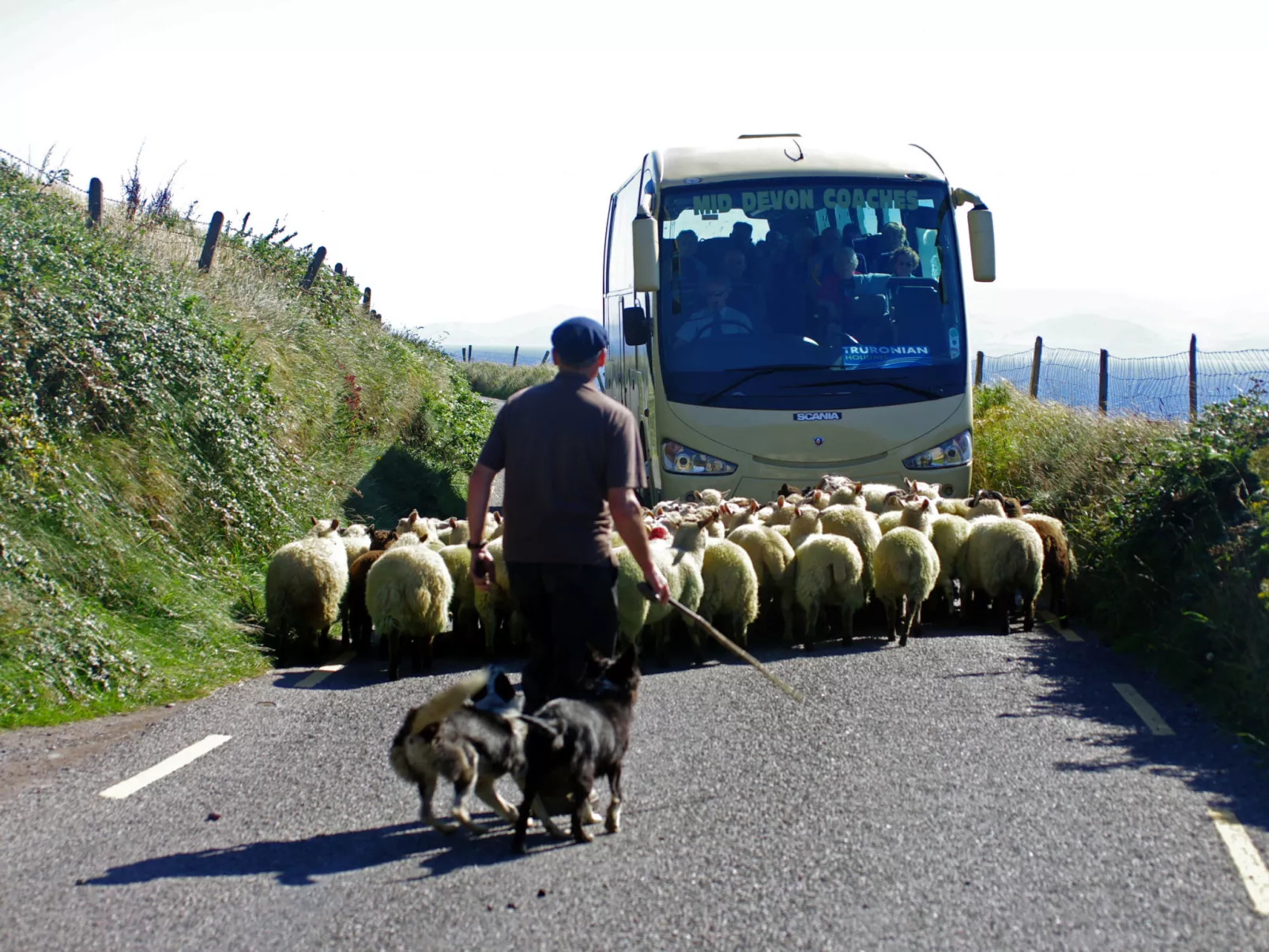 Dingle Bay View (TR2)-Draußen