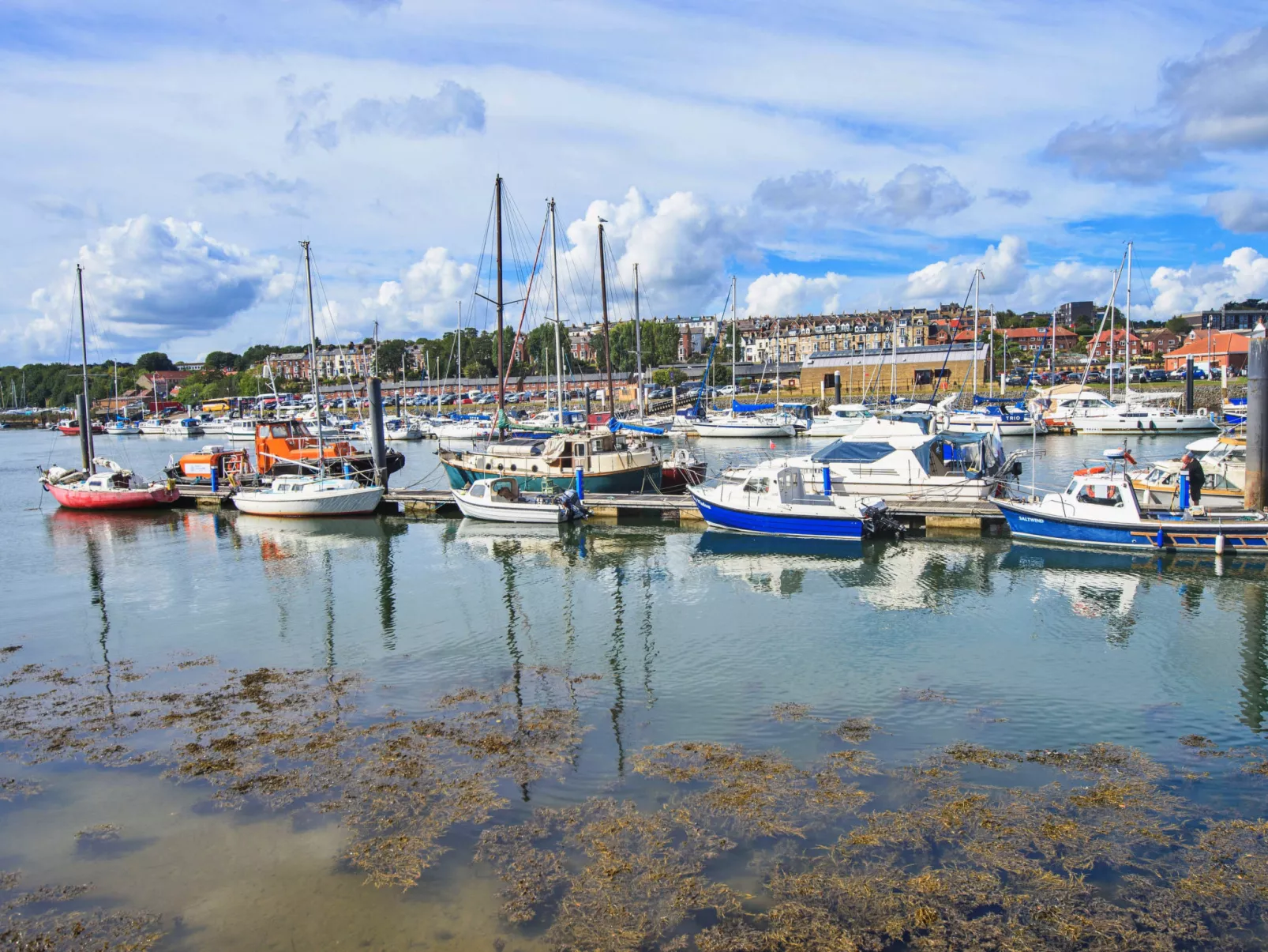 Ukulele Studio-Drinnen