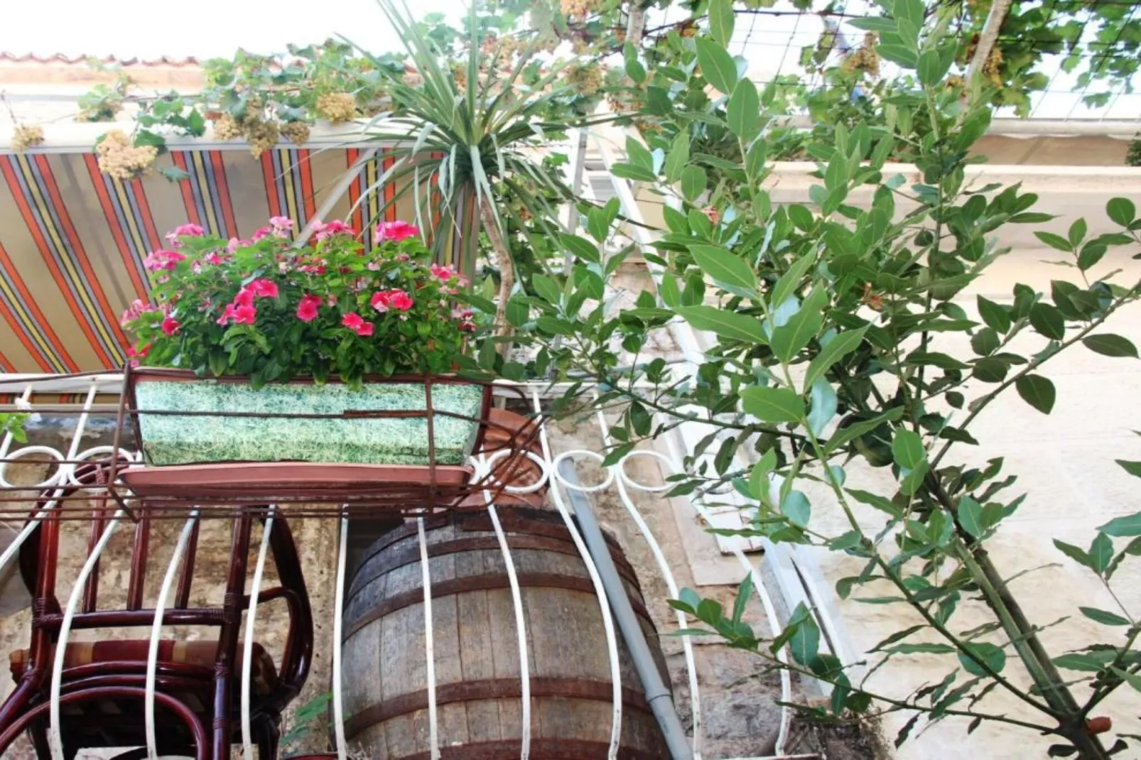 Quaint & Affordable Stay in Budva Traditional Stone House - Double Room 1-Gardens in summer