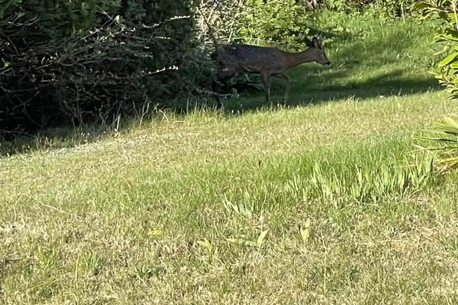 5 star holiday home in Ebeltoft-Untagged