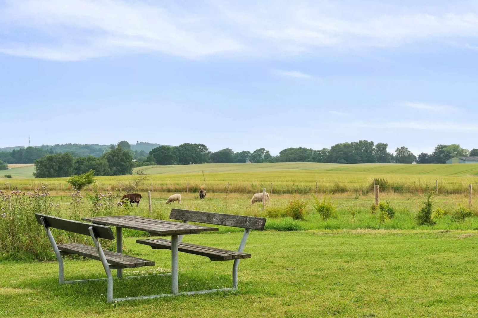 5 Sterne Ferienhaus in Svebølle-Im Freien