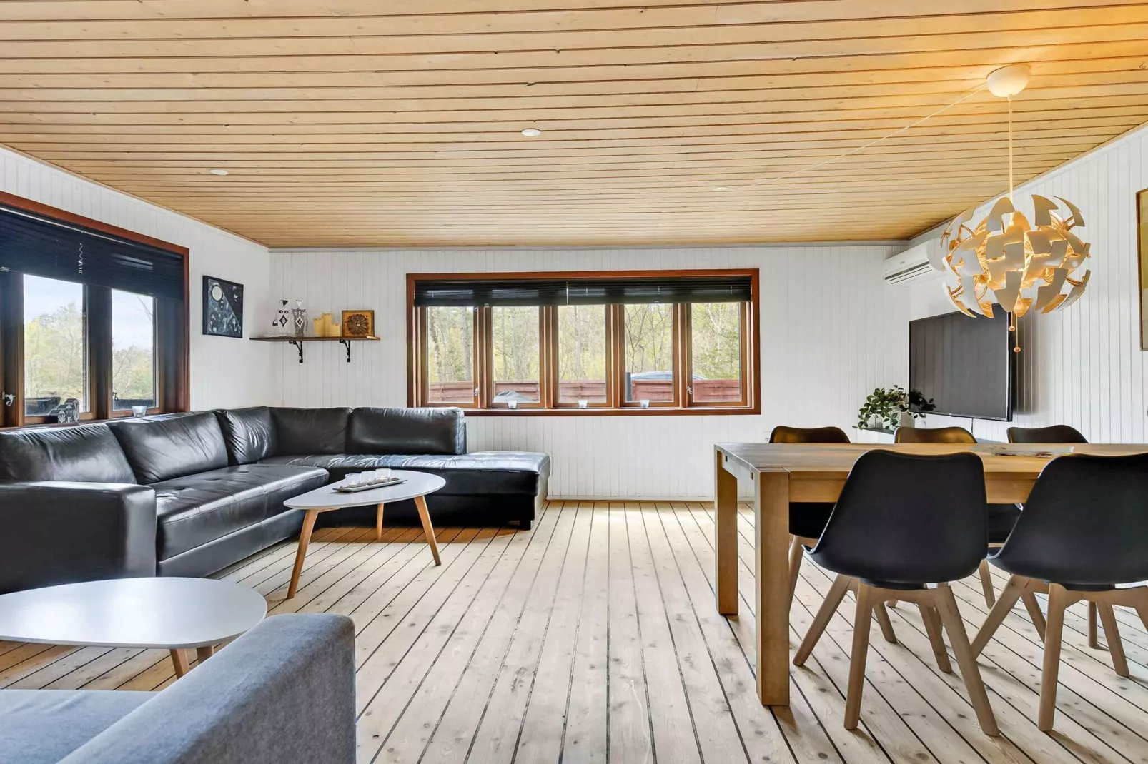 5 Sterne Ferienhaus in Skagen