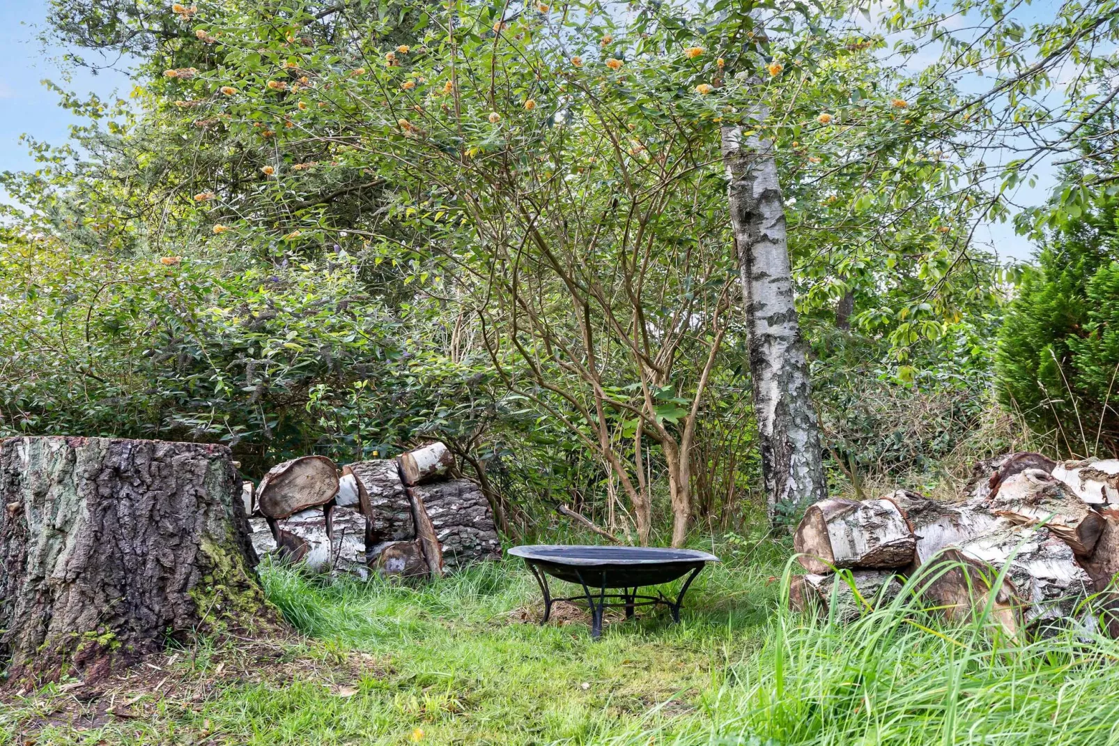 5 Sterne Ferienhaus in Fårevejle-Im Freien