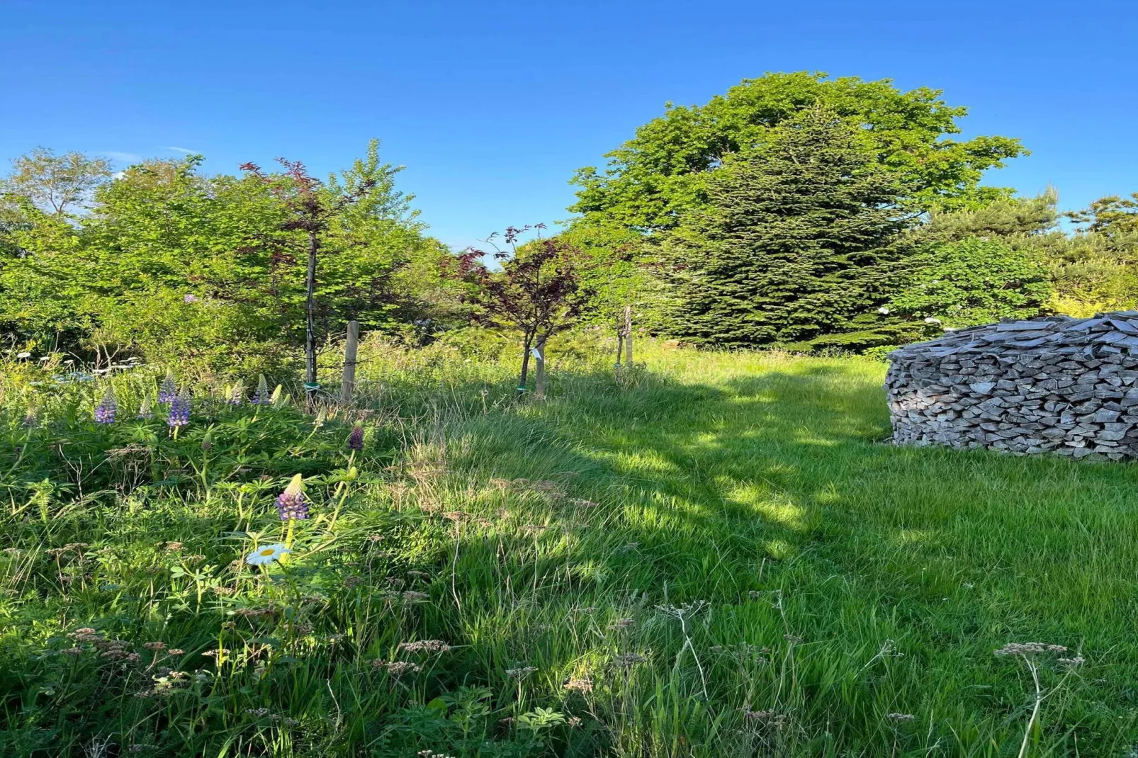 5 star holiday home in Hundested-Untagged