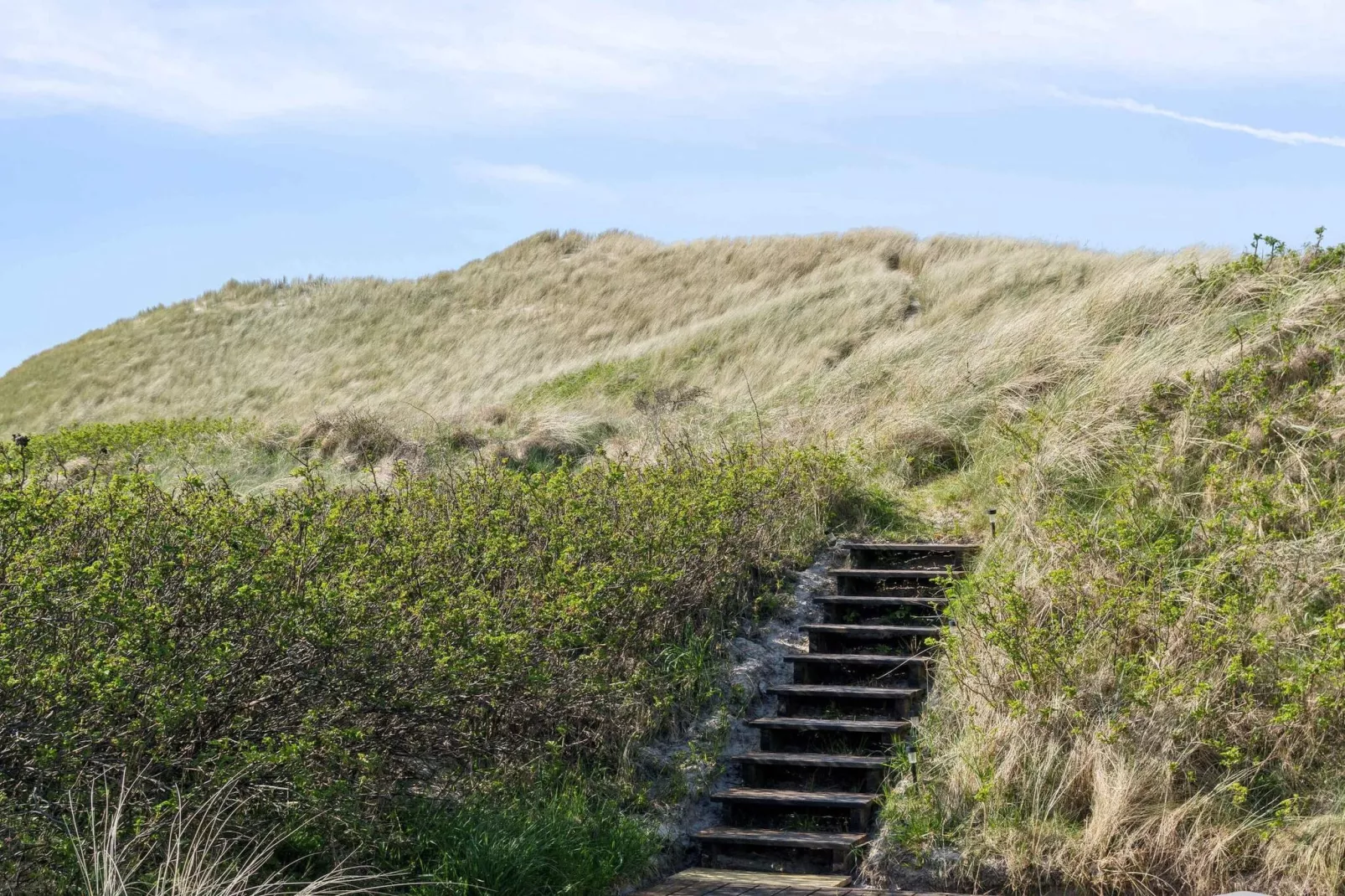 5 star holiday home in Pandrup-Outdoor