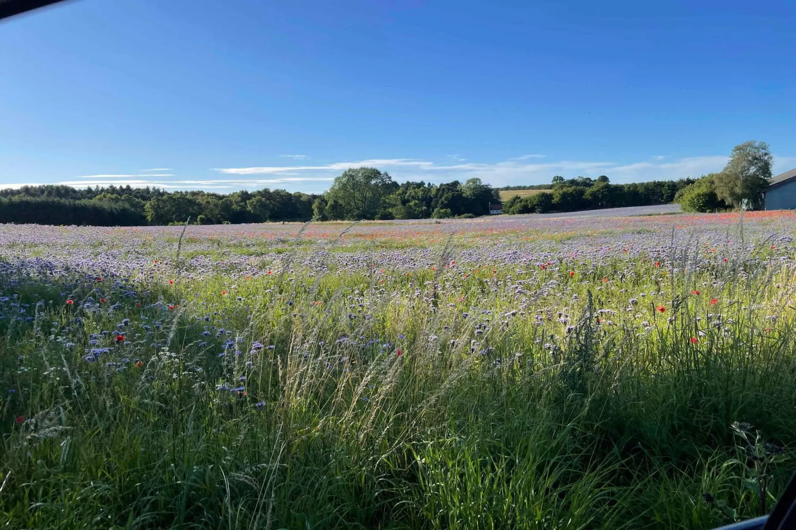 4 Sterne Ferienhaus in Nykøbing Sj-Im Freien
