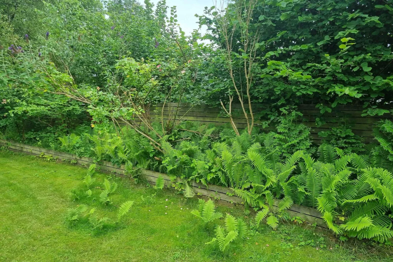 4 Sterne Ferienhaus in Faxe Ladeplads-Im Freien