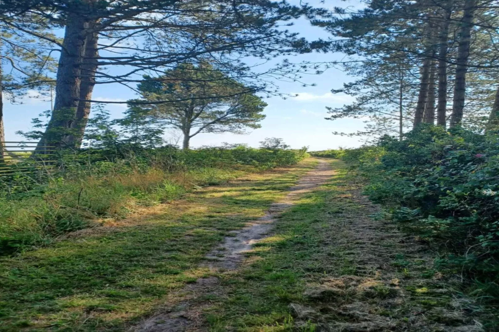 4 etoiles maison de vacances a Middelfart-Extérieur