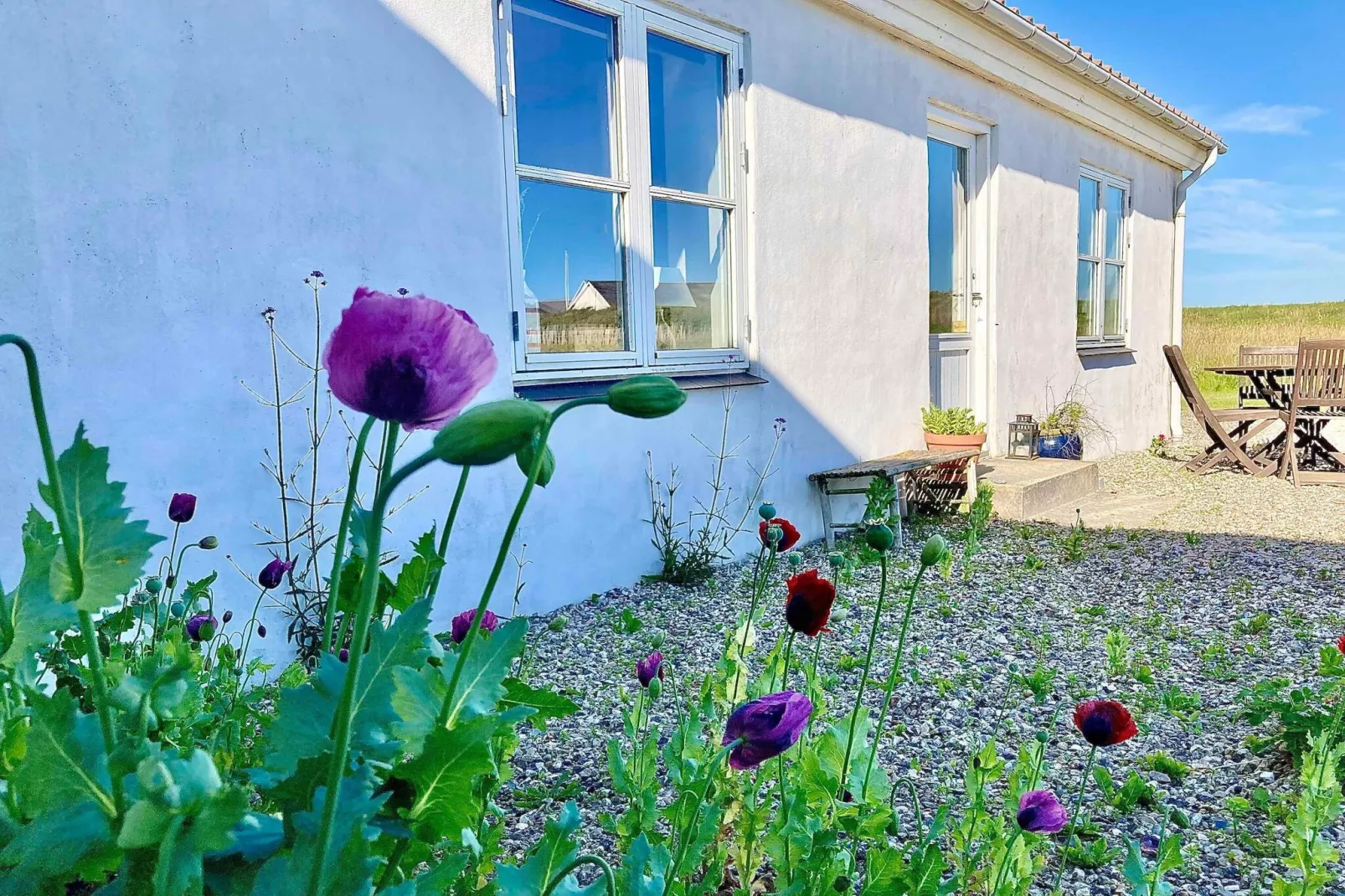 5 etoiles maison de vacances a Lemvig-Extérieur