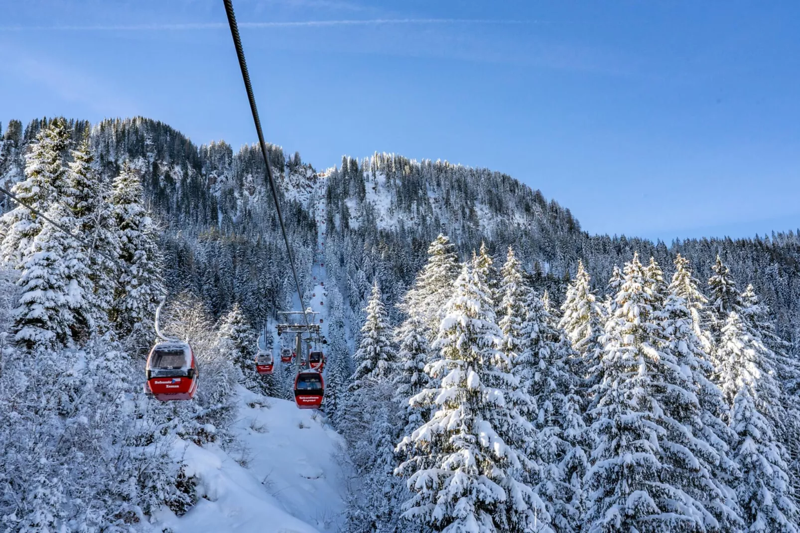 Mountapart- Bärnbadkogel Top 9-Area within 5km in winter