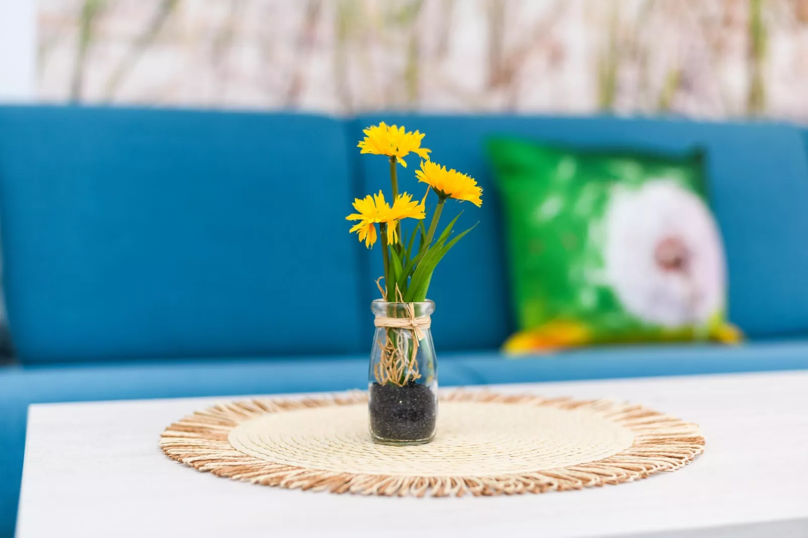 Haus Strandkorb 1-Wohnzimmer