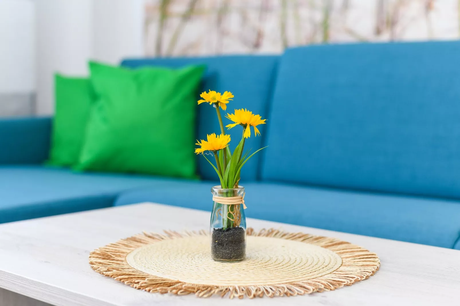 Haus Strandkorb 5-Living room