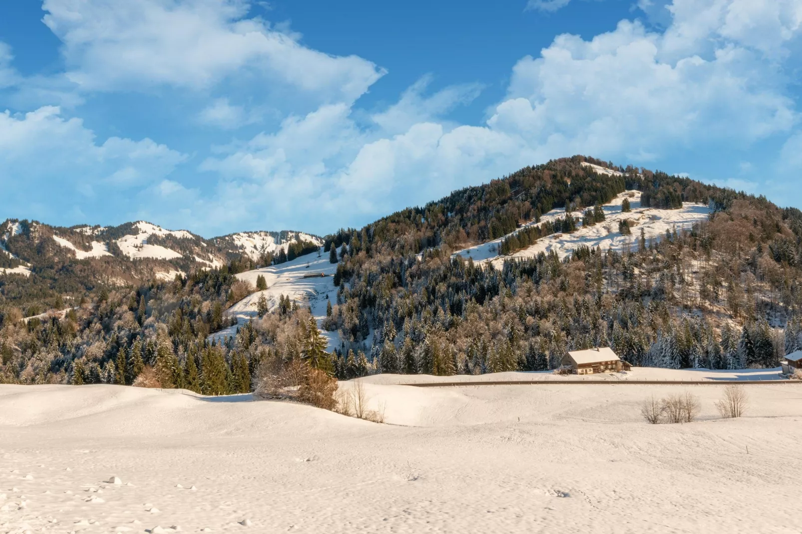 Chalet Sibratsgfäll 1-Area within 5km in winter