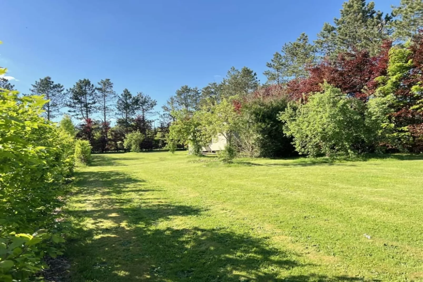 Pine Tree Tiny Cottage-Jardins en été