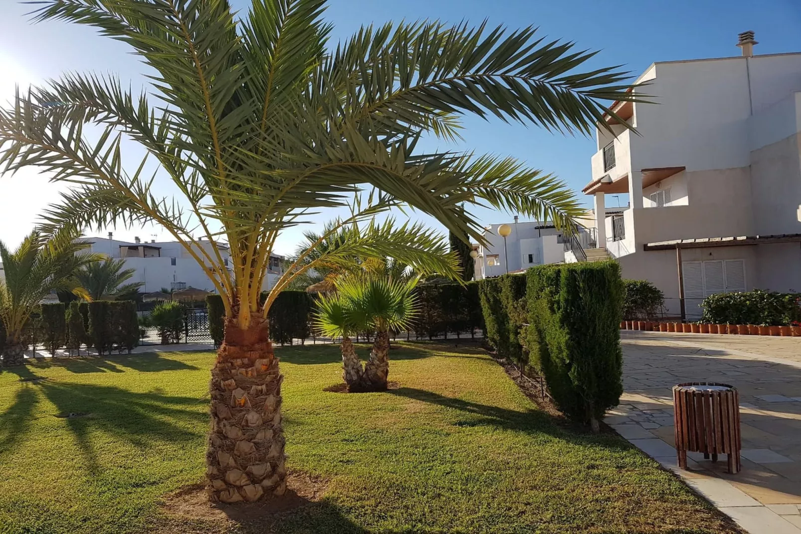 CT 371 AL - Faro's Veraplaya Naturista Apartment-Gardens in summer
