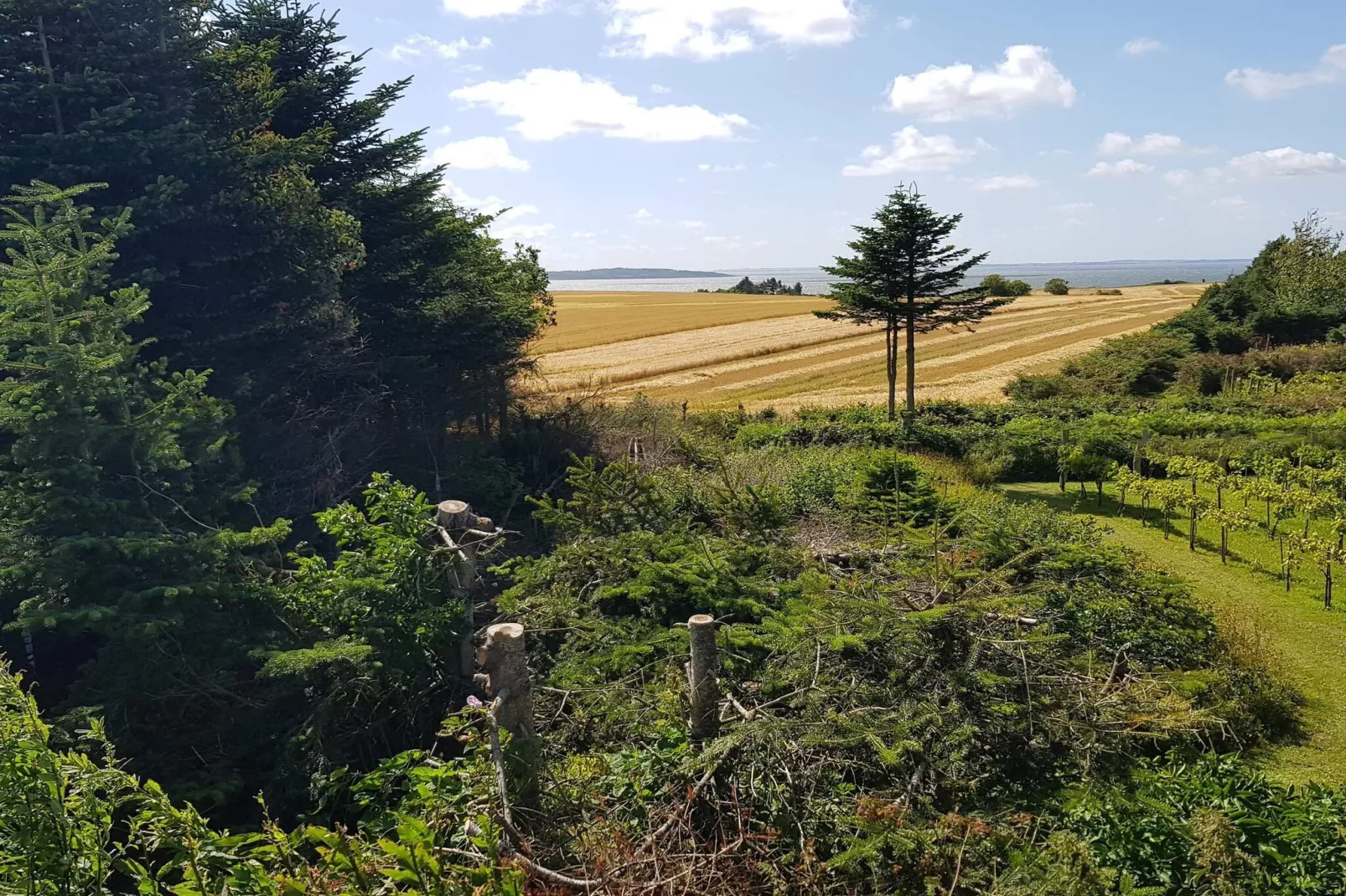 4 etoiles maison de vacances a Ranum-Extérieur