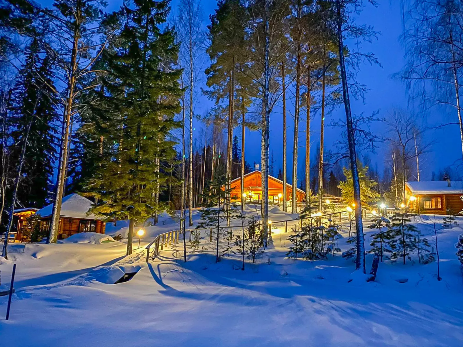 Villa joutsen-Drinnen