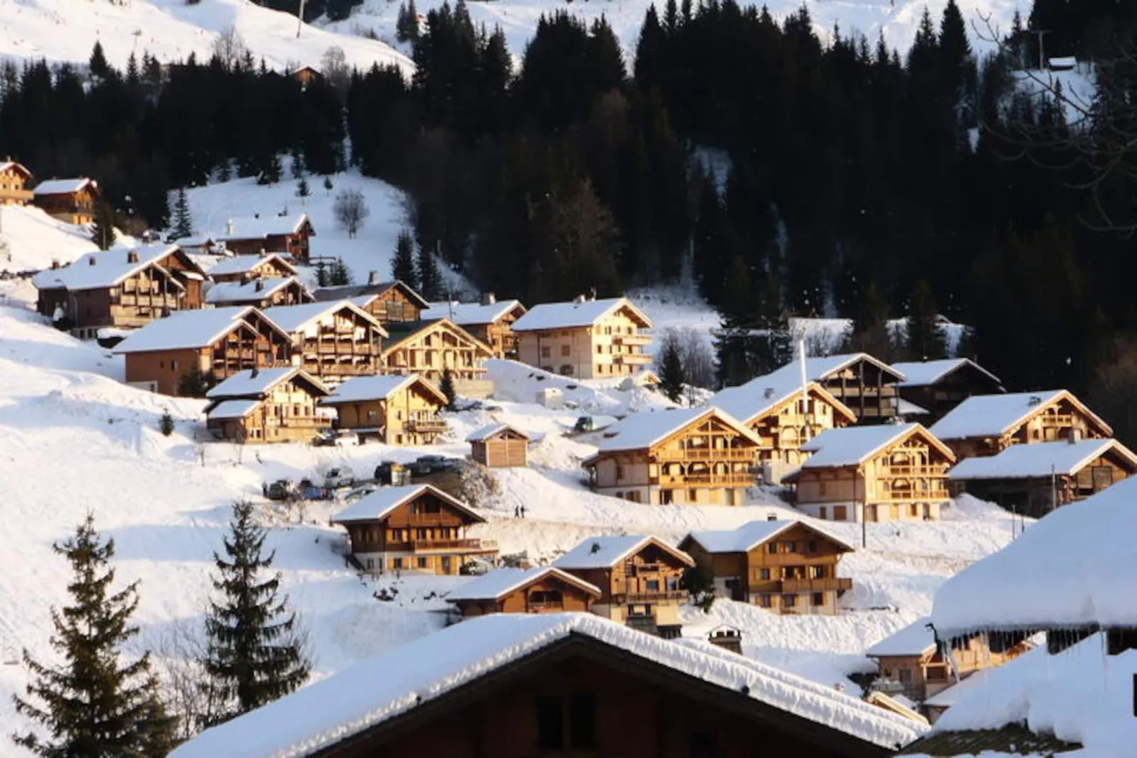 Résidence Dryade-Untagged