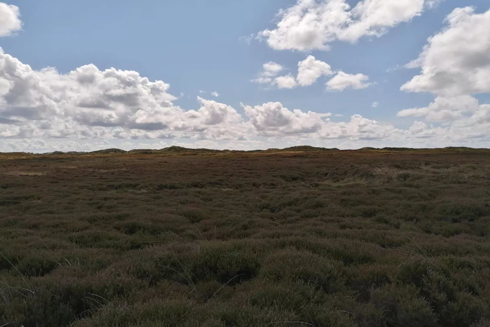 Seaside Serenity at Henne Strand-By Traum-Untagged