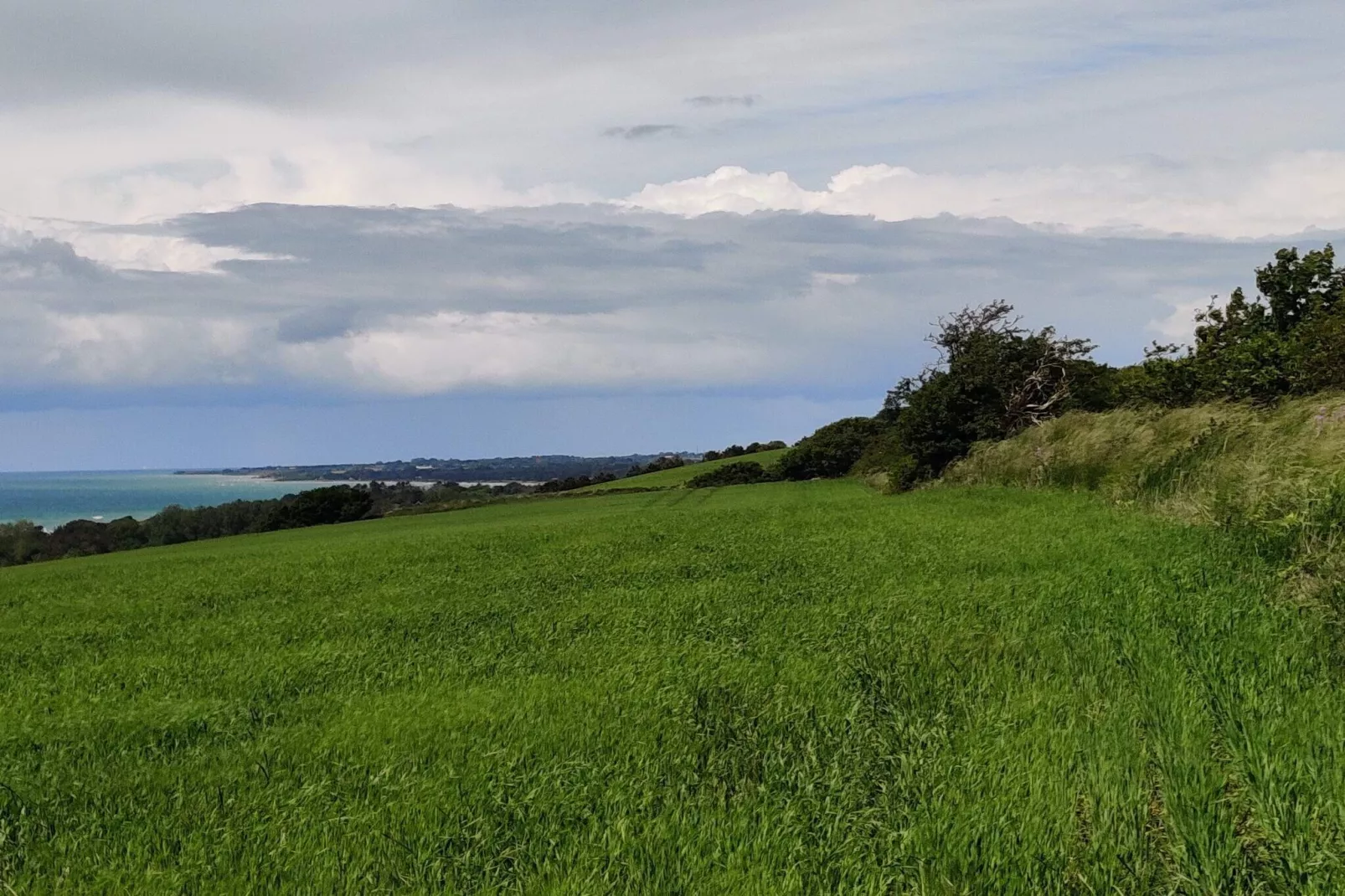 6 Personen Ferienhaus in Højby-Nicht zugeordnet