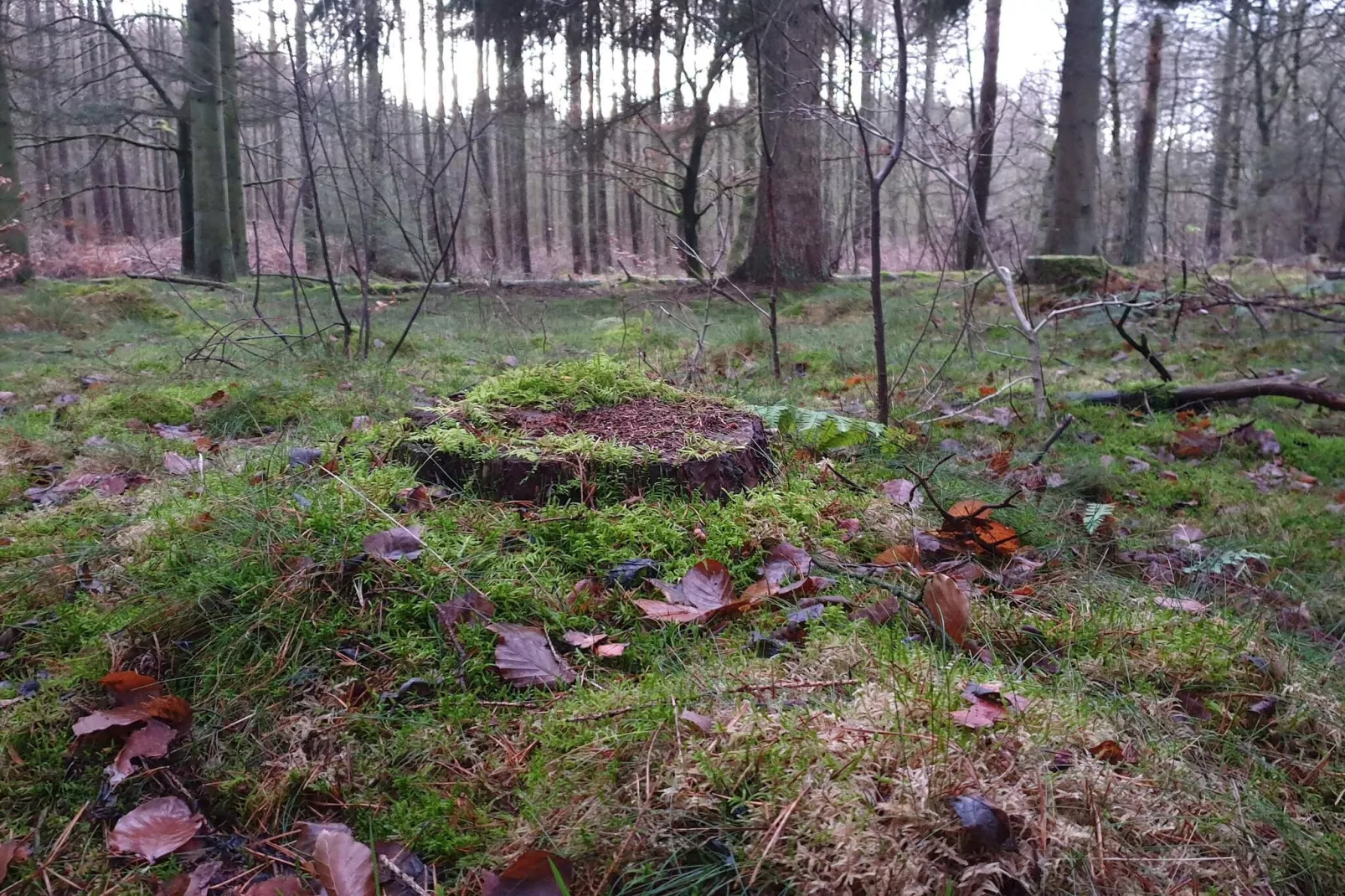 8 person holiday home in Gjern-Untagged