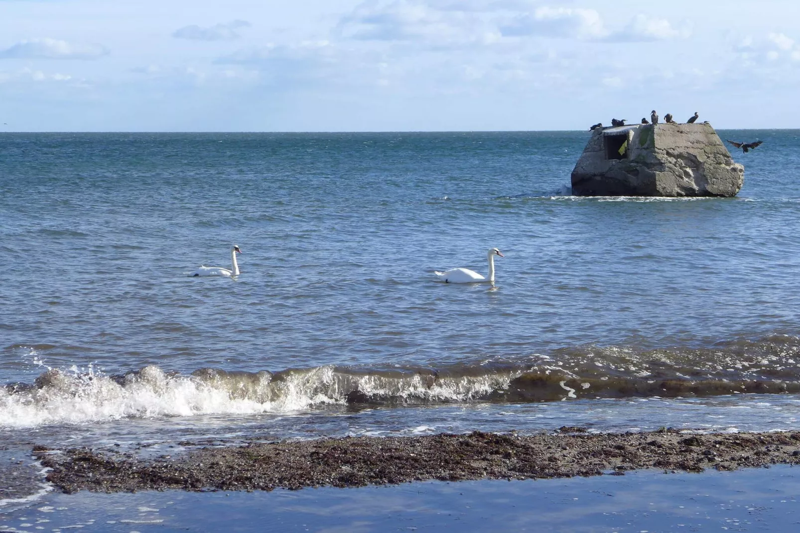 Idyllisches Reetdachhaus-Ruckzugsort-By Traum-Wasserblick