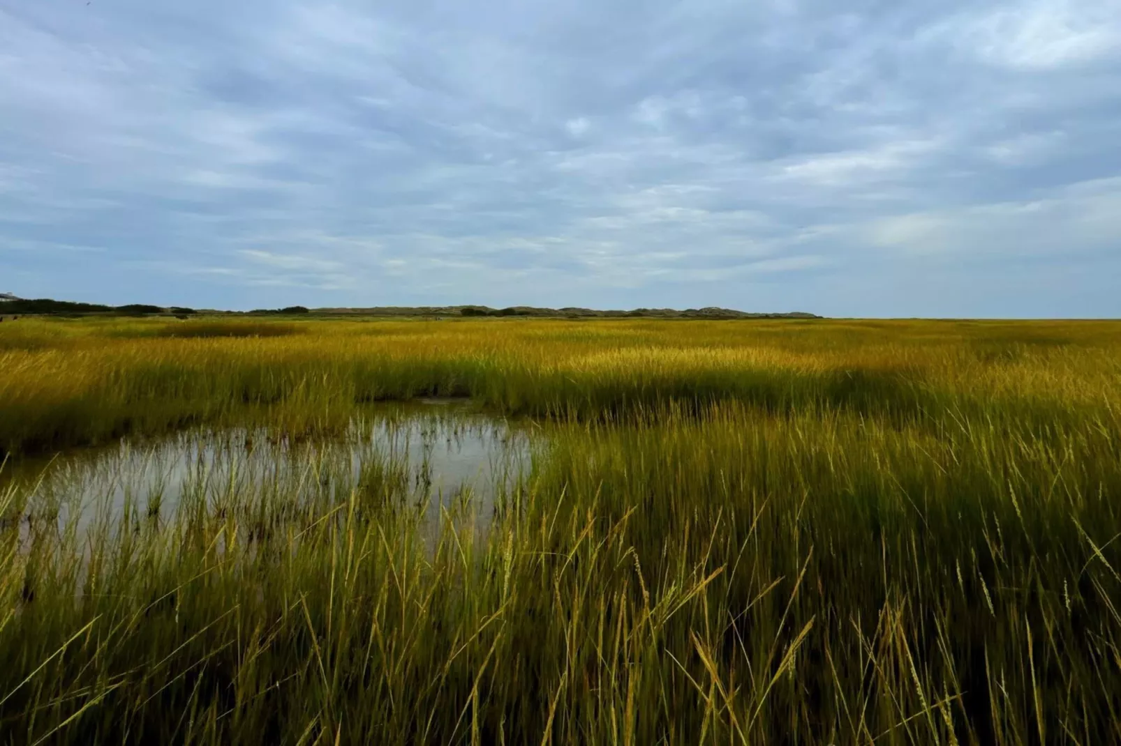 6 person holiday home in Fanø-Water view