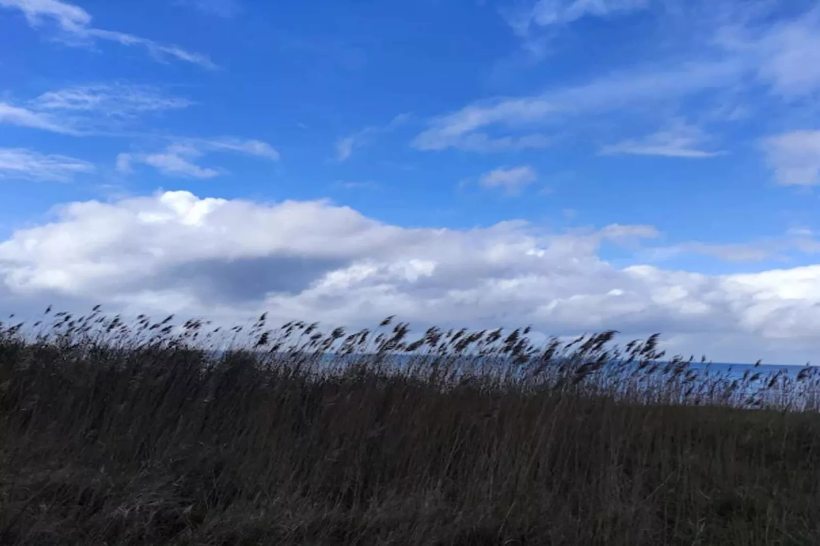 Maison de vacances pour 6 a Nordborg-Vue sur l'eau