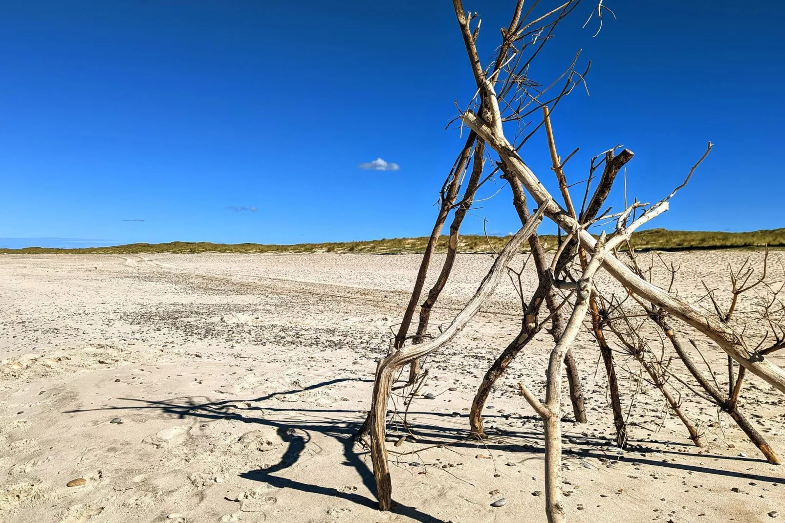Maison de vacances pour 20 a Nørre Nebel-Non tagué