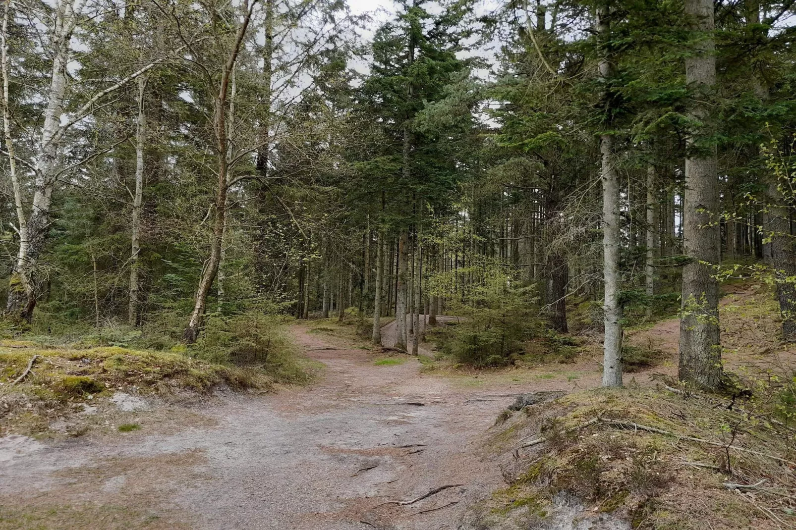 Maison de vacances pour 18 a Nørre Nebel-Non tagué