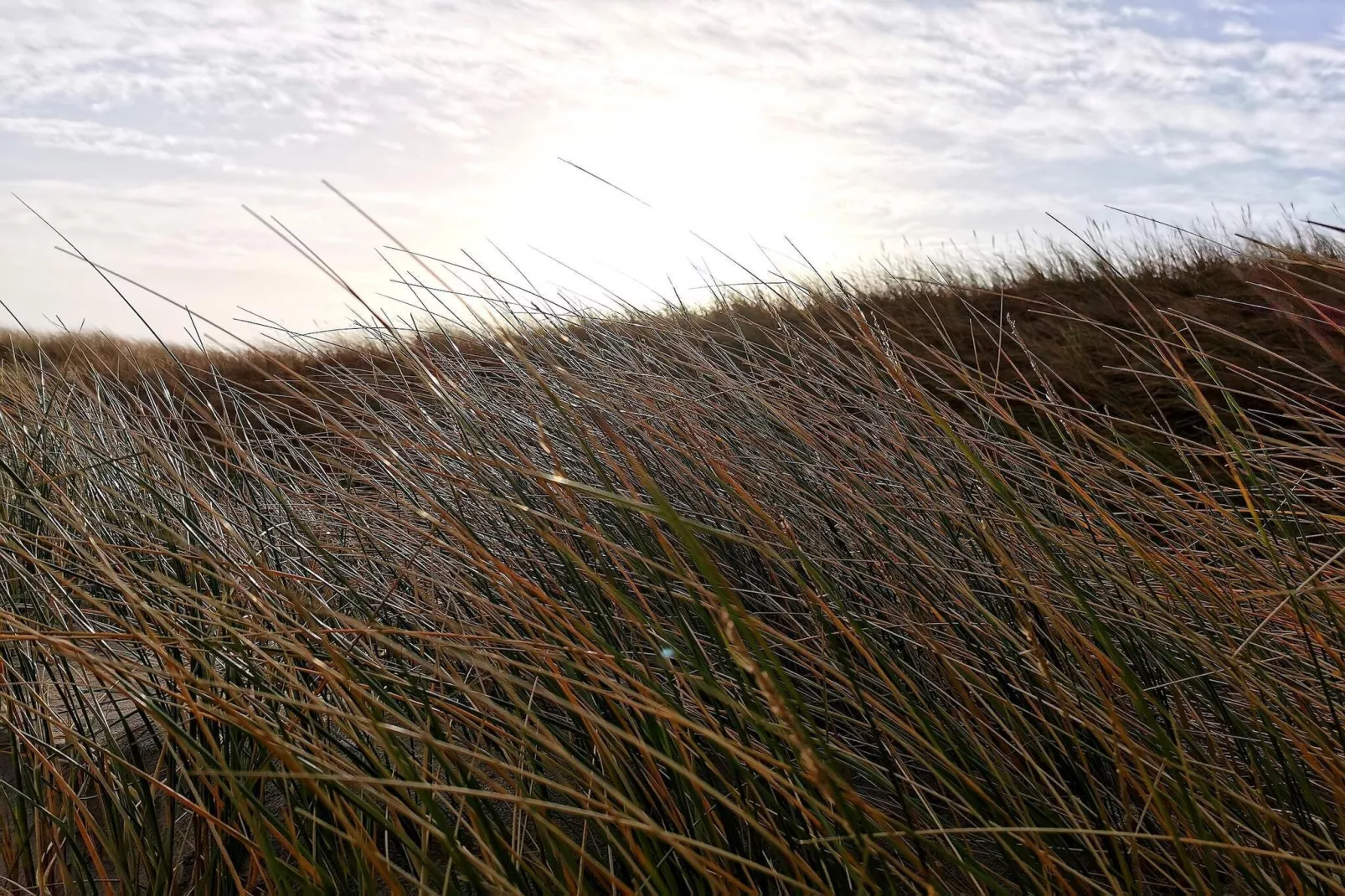 8 person holiday home in Ringkøbing